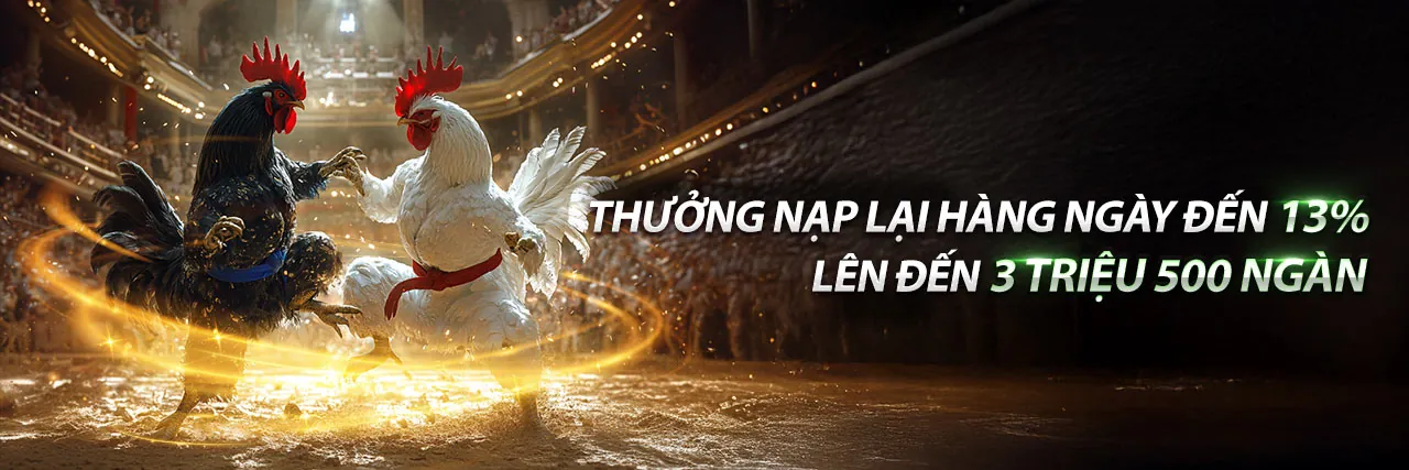 Đá Gà Trực Tiếp Hấp Dẫn tại sv288 casino